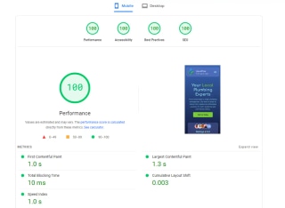 Google Page Speed Website Performance